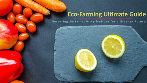 Eco-Farming: A Practical Guide to Sustainable Agriculture – Harvesting Wisdom and Cultivating a Greener Future!