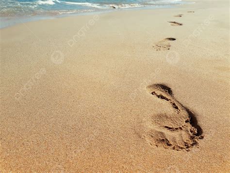  Footprints in the Sand: A Labyrinthine Journey Through Lost Memories and Hidden Truths