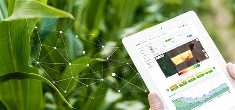 What is Farm Management Software: A Tool for Modern Agriculture or a Digital Farmer's Almanac?