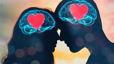  Your Brain On Love: The Neuroscience of Romance - A Fascinating Journey Into the Neural Symphony of Love!